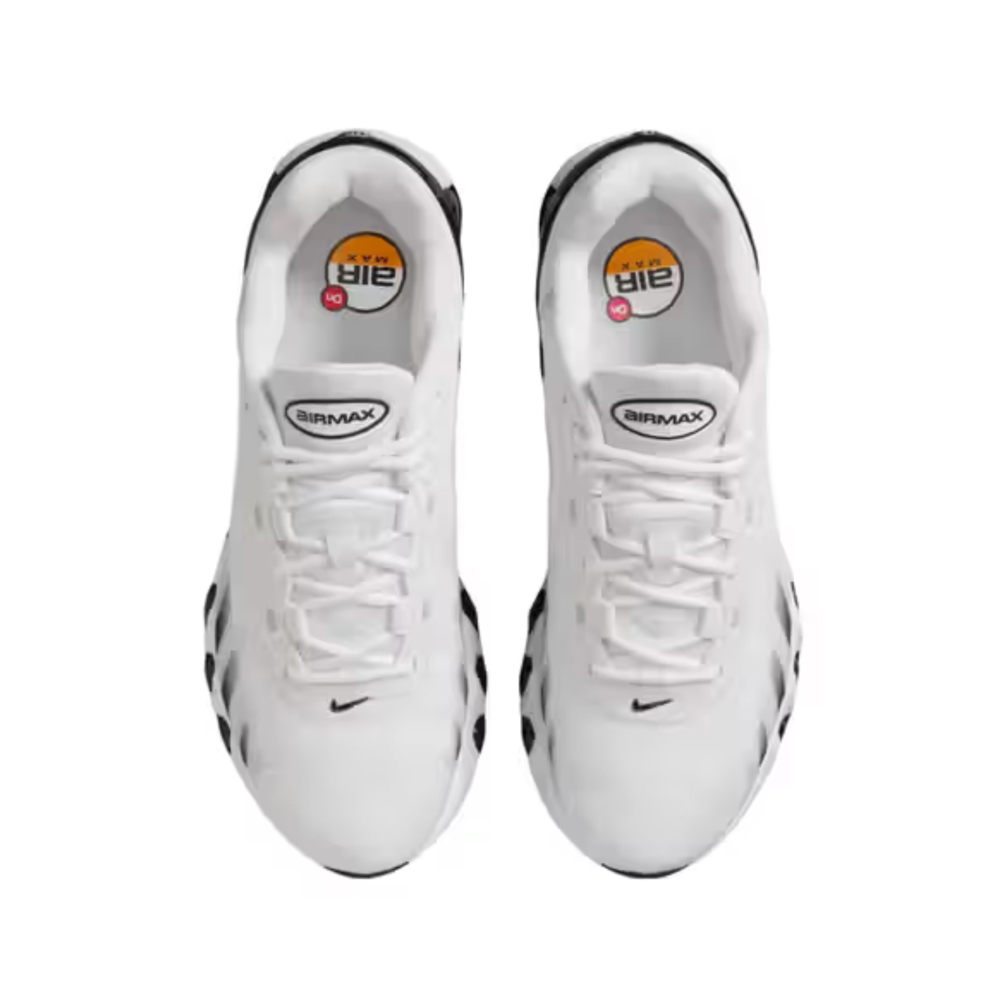 Nike Air Max DN8 "Panda"