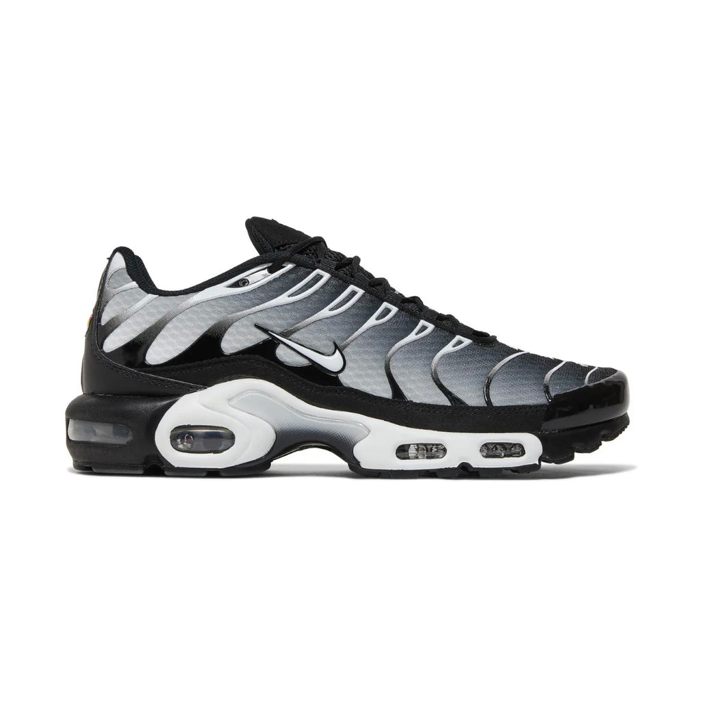 Nike TN "Metallic Silver"