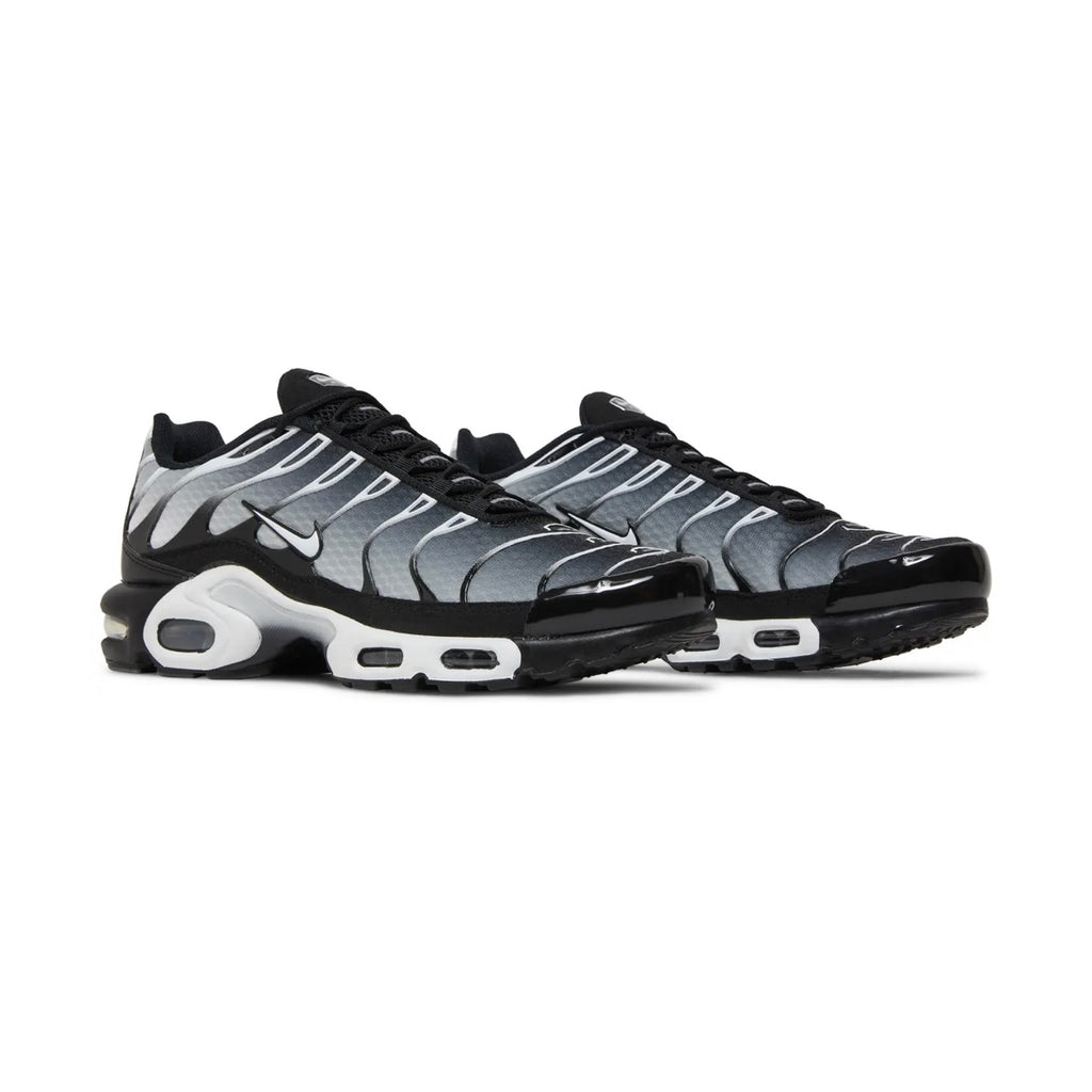 Nike TN "Metallic Silver"