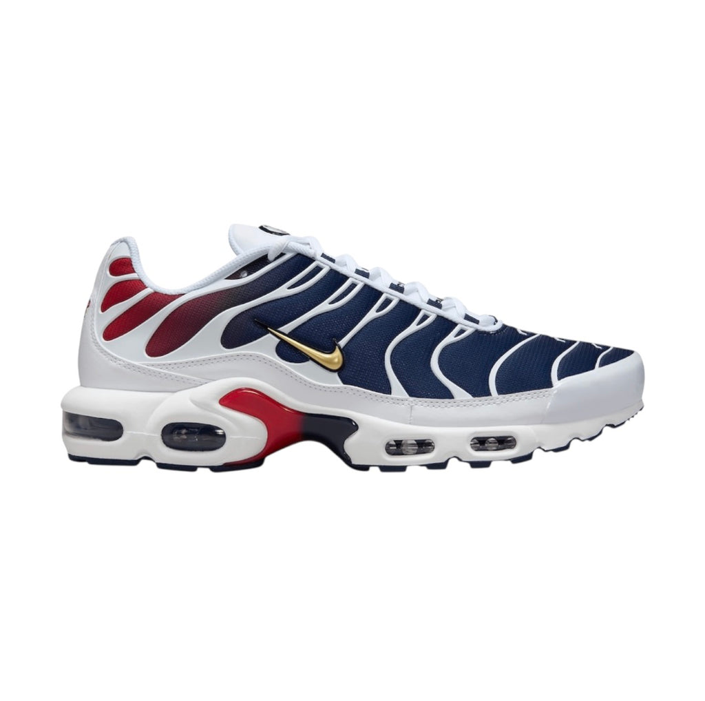 Nike TN "Paris Saint Germain"