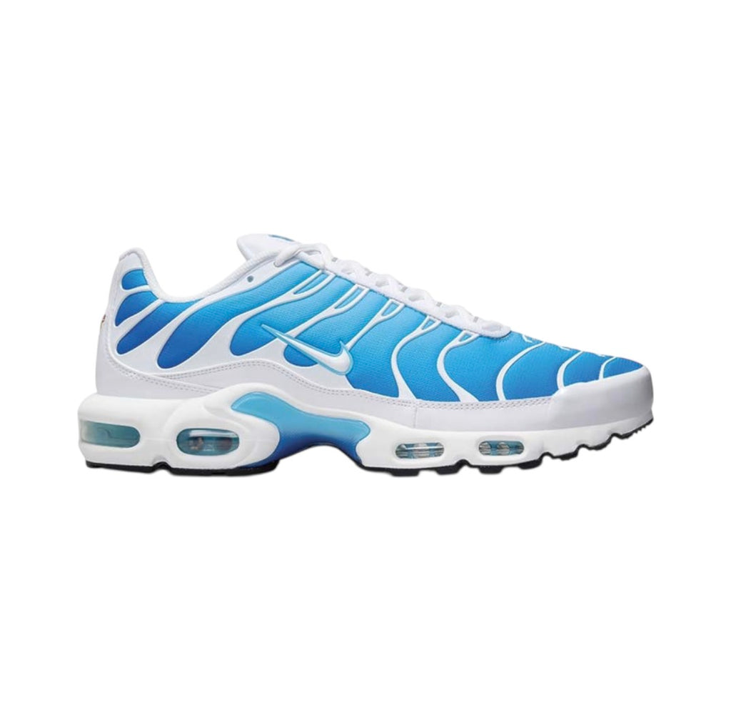 Nike TN "Battle Blue-Sky Blue Gaze"