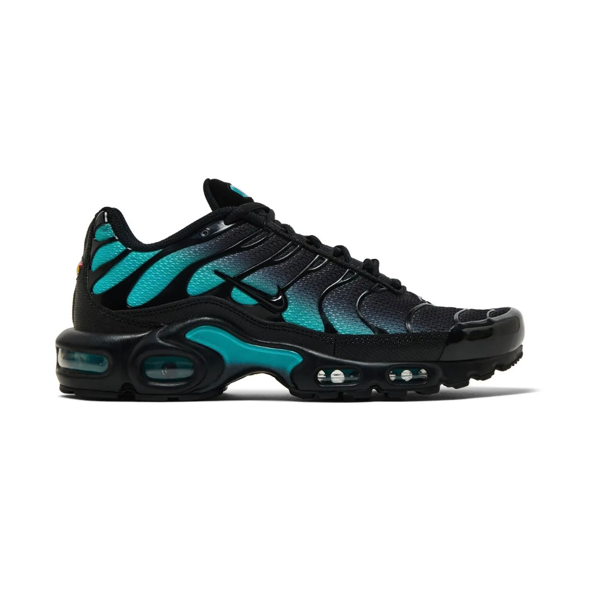 Nike TN "Black Dusty Cactus"