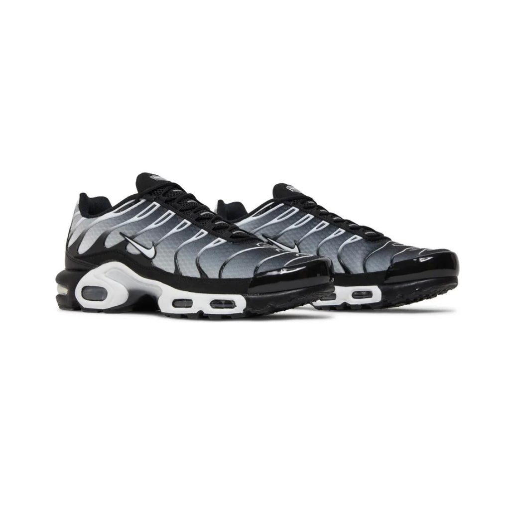 Nike TN "Black Metallic Silver"