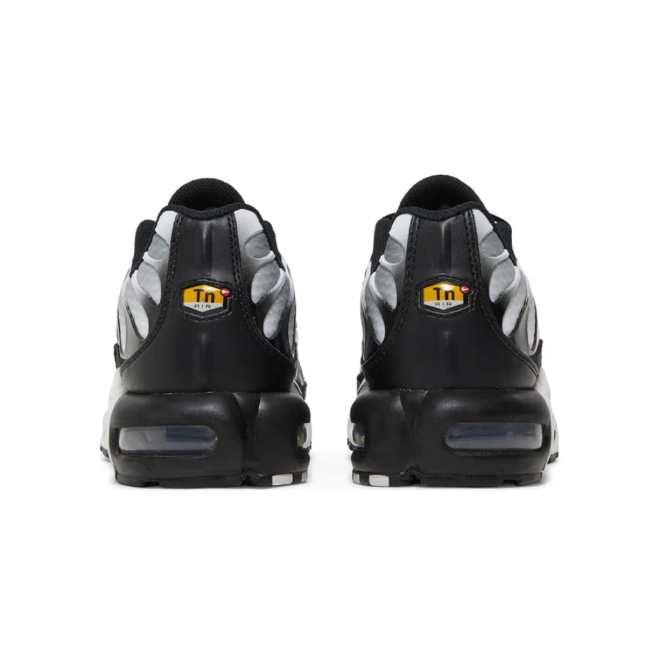 Nike TN "Black Metallic Silver"