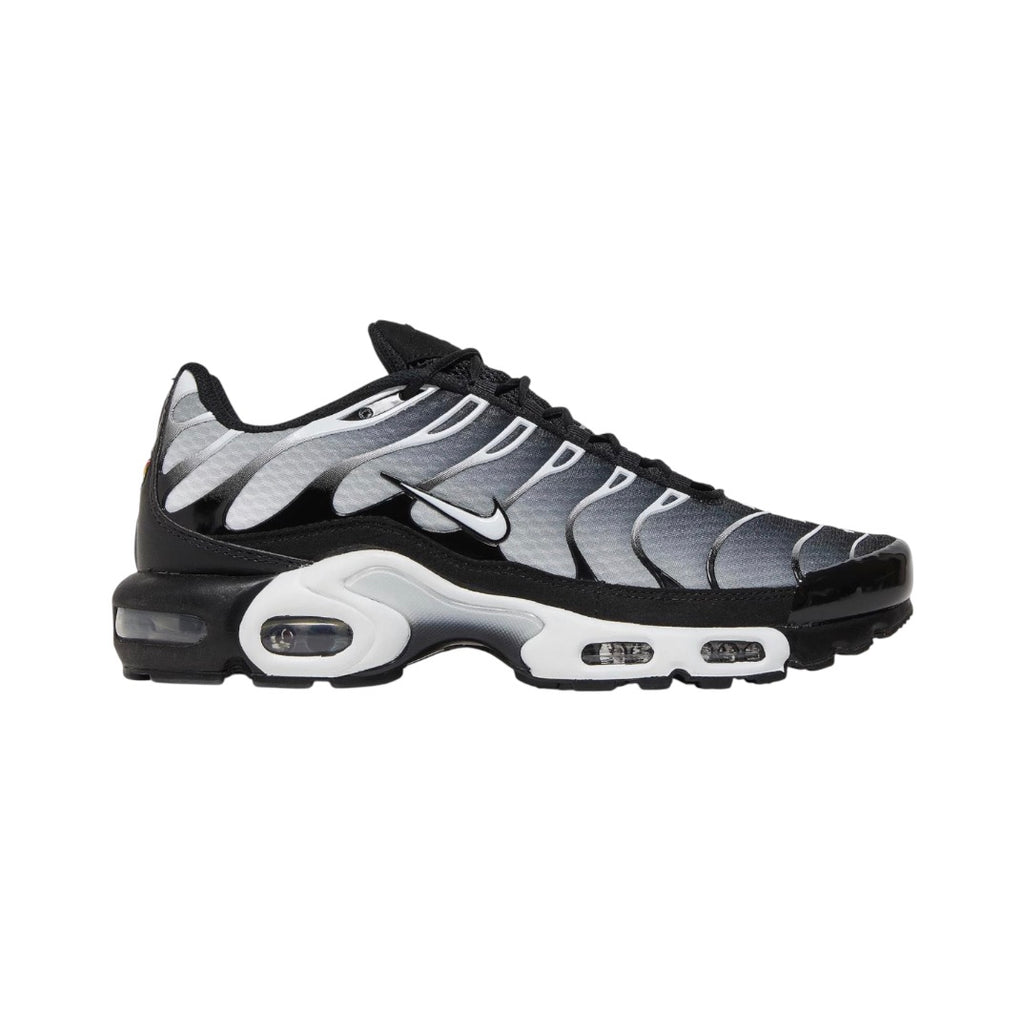 Nike TN "Black Metallic Silver"